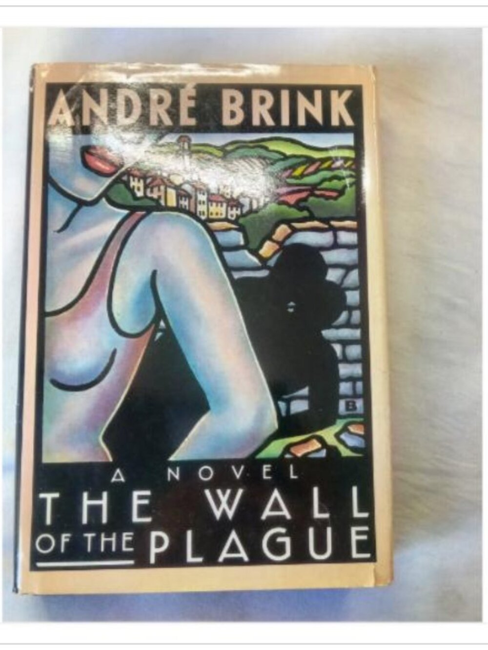 The Wall of the Plague André Brink 1984 First American Edition Hardcover Book